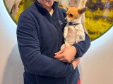 ClinicVet Gournay-en-Bray