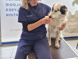 ClinicVet Martainville