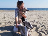 Hélène Éducation Canine