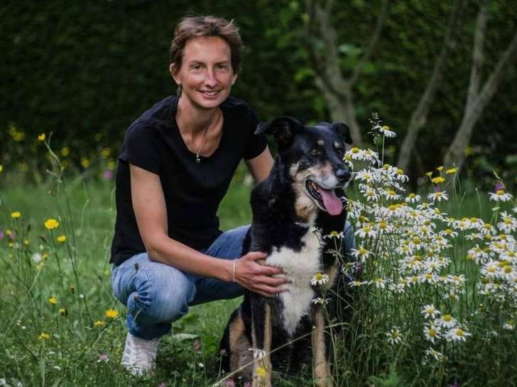 Éducation canine 14