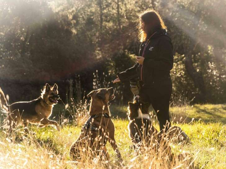 Les Paires Hommes Chiens
