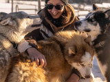 Les Paires Hommes Chiens