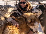 Les Paires Hommes Chiens