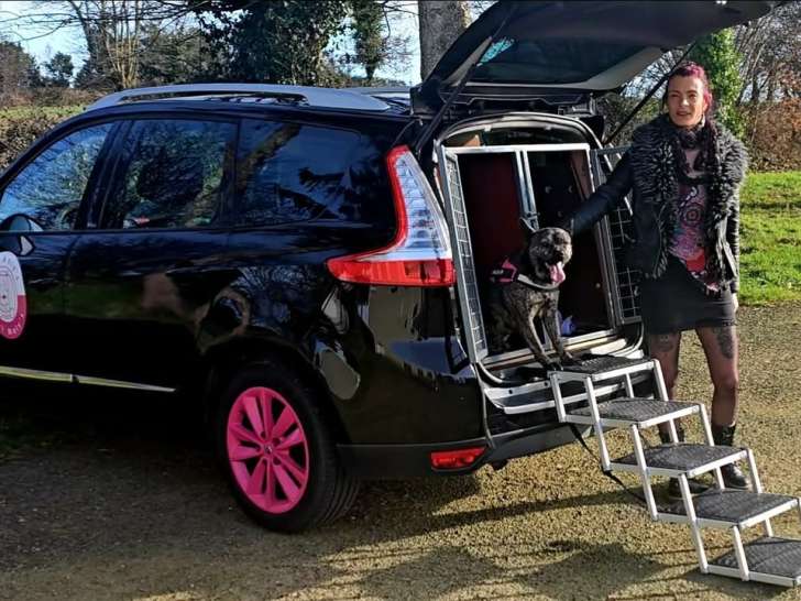 Transport avec véhicule adapté