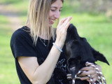 Océ & Dogs