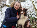 L’Académie Canine des Volcans