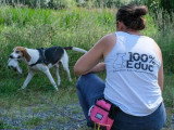 100%Educ