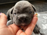 Baby Pêche