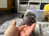 Baby Pêche