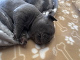 Baby Pêche