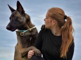 Unik Dog 