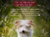 Morgane  B