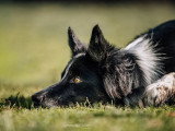 Focus by Céline