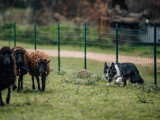 Focus by Céline