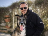 Dog Contact