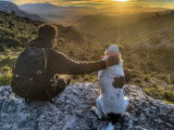 Dog Contact