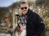 Dog Contact