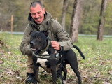 Terre de Woof