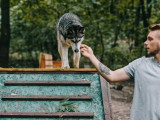 Terre de Woof