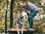 Terre de Woof