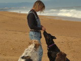 Cani Cadence