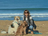 Cani Cadence
