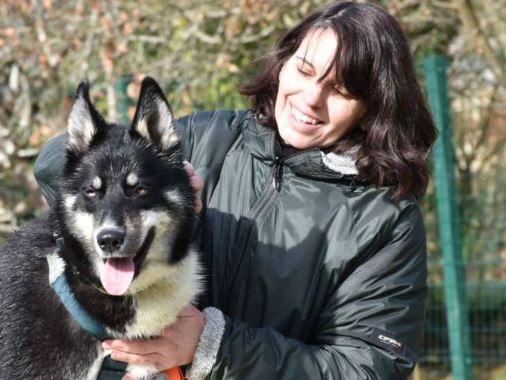 Athéna Médiation Canine