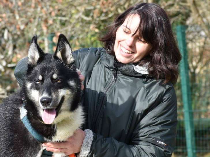 Athéna Médiation Canine