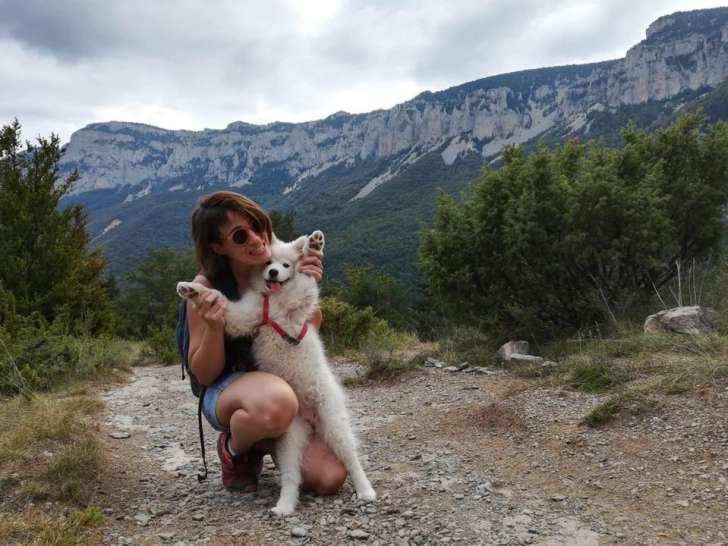 La Patte Tendue