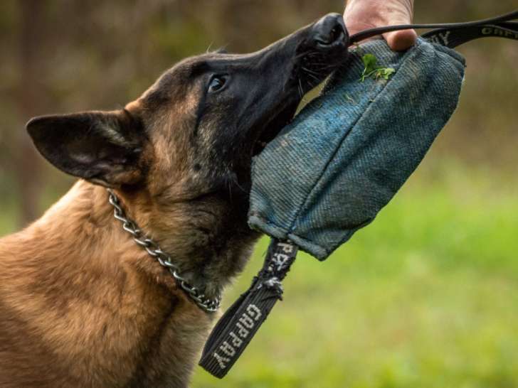 Frk9
