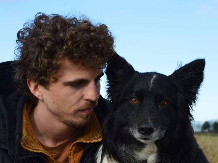 Les Chiens Phoenix