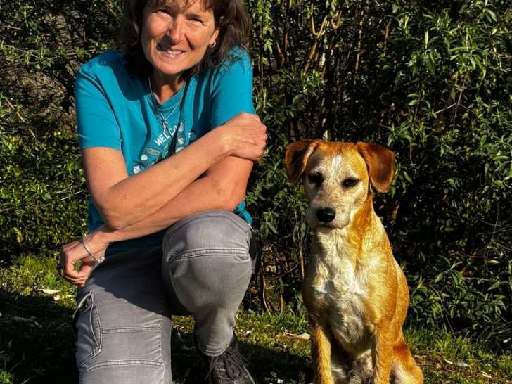 Le quart d'heure canin