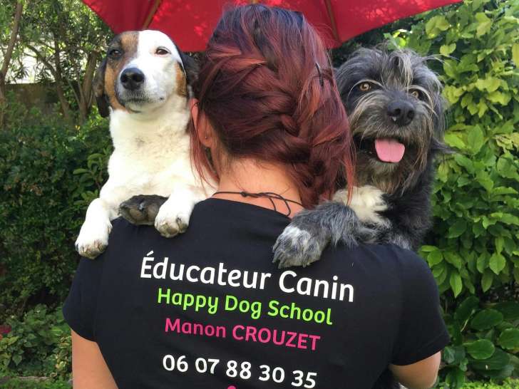 Happy Dog School