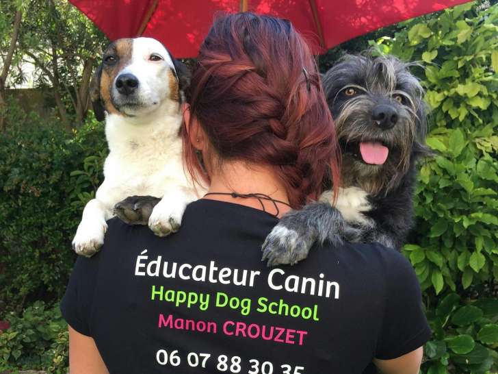 Happy Dog School