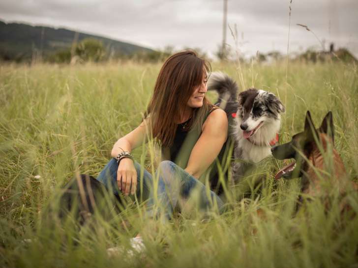 Comme Cha & Chiens