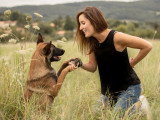 Comme Cha & Chiens