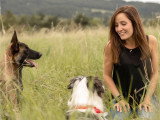 Comme Cha & Chiens