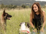 Comme Cha & Chiens