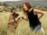 Comme Cha & Chiens