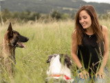 Comme Cha & Chiens