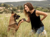 Comme Cha & Chiens