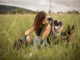 Comme Cha & Chiens