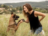 Comme Cha & Chiens