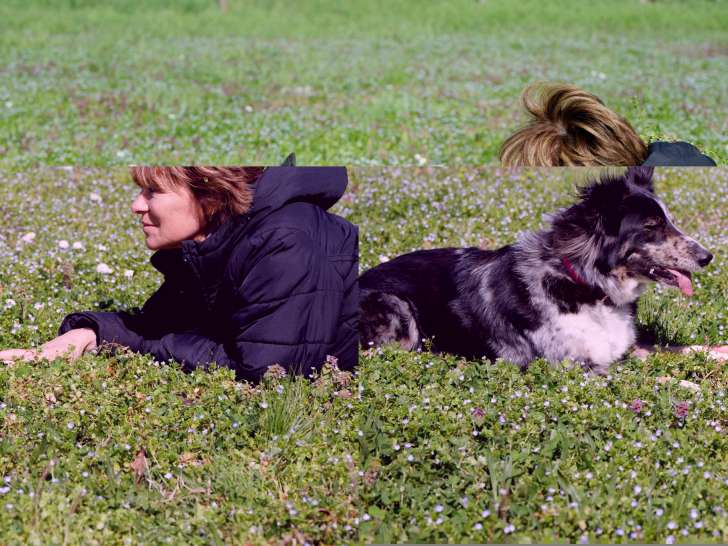 Chien Emoi