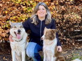Isa'Pets Services