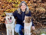 Isa'Pets Services