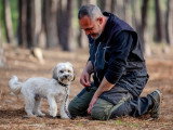 Méthodedog Soixantesix