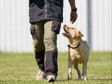 Méthodedog Soixantesix
