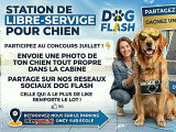 Dog Flash