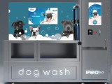 Dog Flash